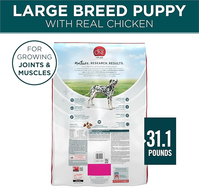 Purina One Plus Puppy Dry Dog Food for Large Dogs High Protein Growth Support, Real Chicken - 31.1 lb Bag