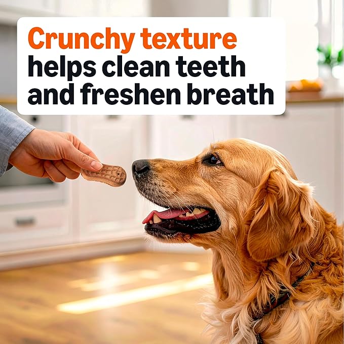 Amazon Basics Peanut Butter Flavor Biscuits Dog Treats 5 lb. Box