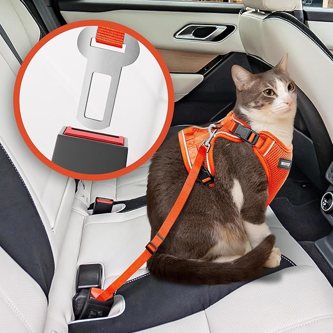 Cat Harness and Leash for Walking Escape Proof Soft Adjustable Cat Leash Breathable Comfortable Vest Easy to Wear Kitten Harness for Outdoor Travel, Orange, M