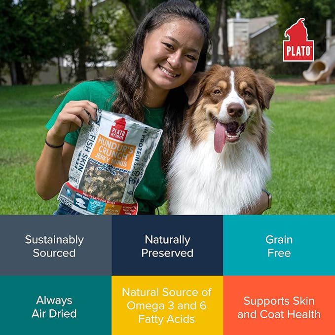 PLATO Hundur's Crunch Jerky Minis 10oz, Natural (859554001397)