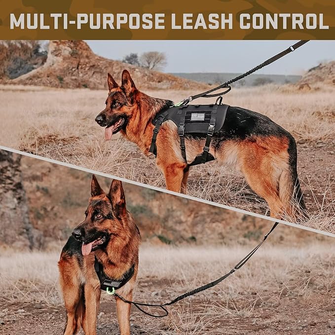 Forestpaw Tactical Dog Harness for Large Dogs,Tactical Dog Collar with Bungee Leash Set,No Pull Military Dog Harness for Walking Training,Adjustable for Medium Large Dogs,Black,Chest 21.5-45"