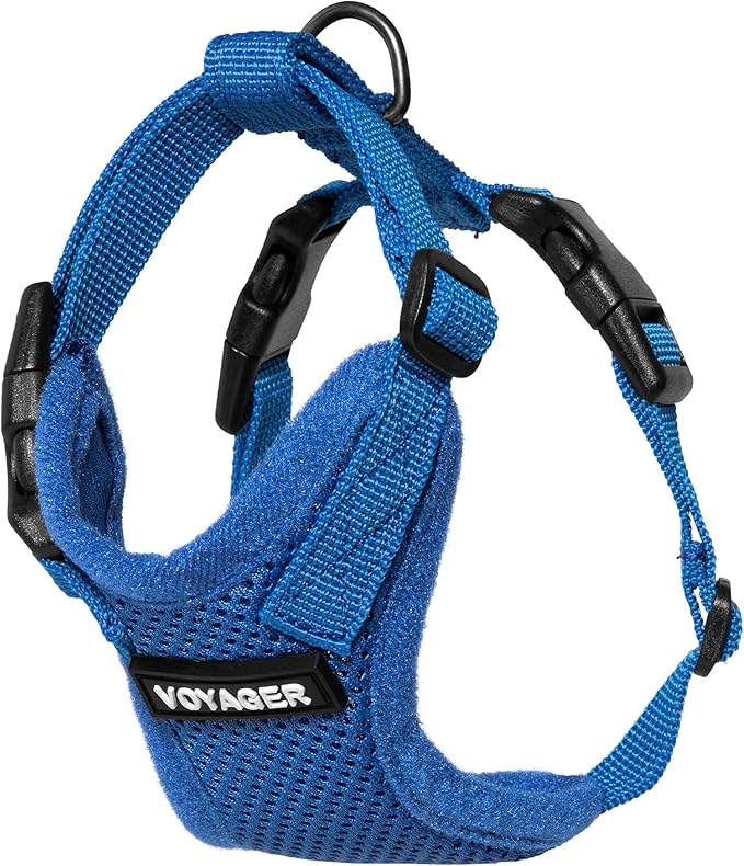 Voyager Step-in Lock Adjustable Cat Harness w. Cat Leash Combo Set with Neoprene Handle 5ft - Supports Small, Medium and Large Breed Cats by Best Pet Supplies - Royal Blue, XXS