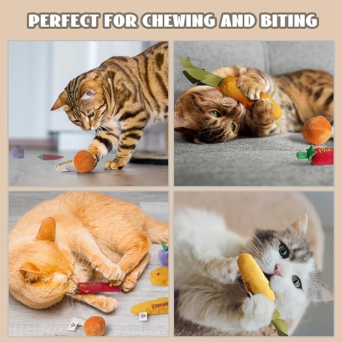 5 Pack Catnip Toys for Indoor Cats - 100% Organic Catnip Filled, No Cotton, Durable Teething Kicker Toys for Kittens, Food-Shaped Plush Chew Toys