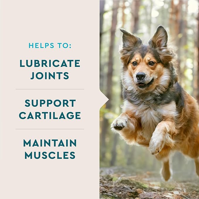 VetIQ Hip & Joint Supplement for Dogs, Anti Inflammatory Joint Support, Glucosamine, MSM, and Krill, Chicken Flavored Soft Chews, 60 Count