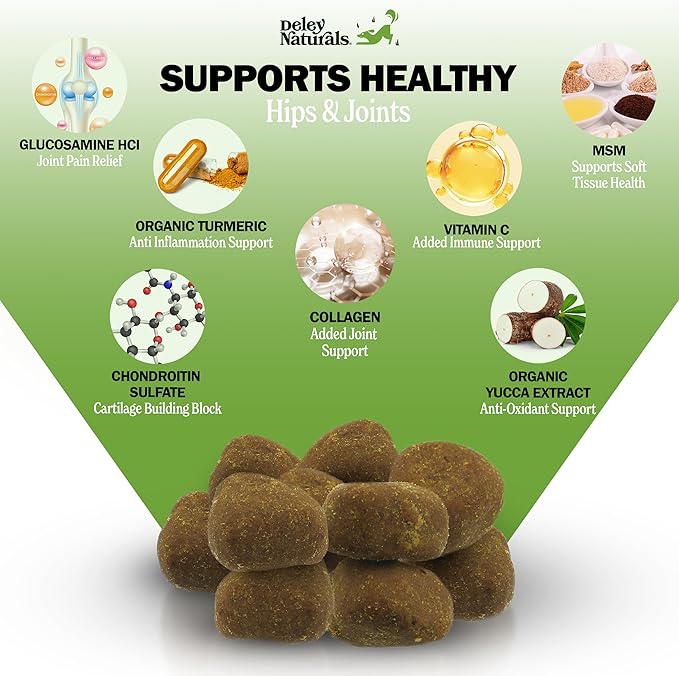 Deley Naturals Hip and Joint Supplement for Dogs - Glucosamine for Dogs with MSM, Turmeric, Chondroitin & Collagen Supplements - Joint Support Chews for Mobility, Flexibility & Comfort - 120 Chews