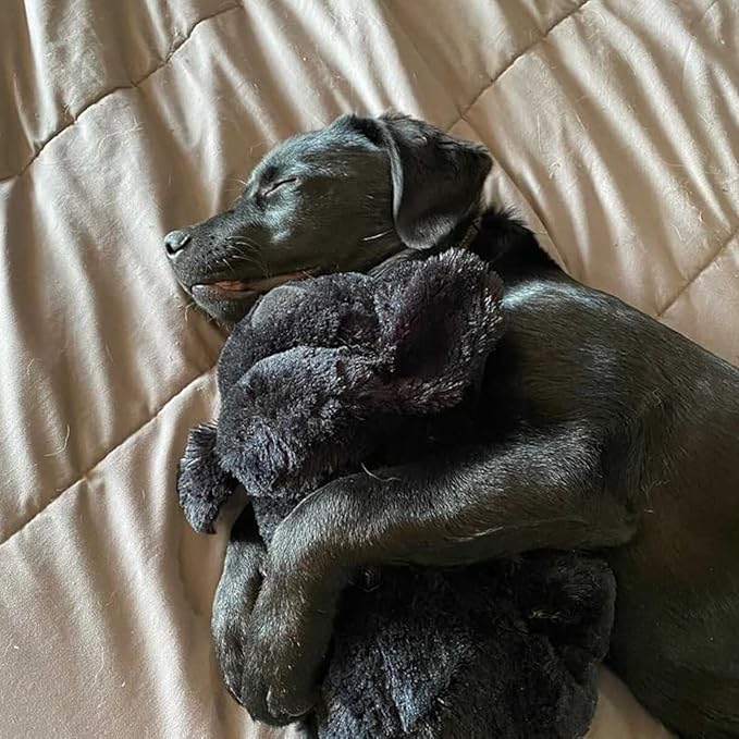 Original Snuggle Puppy Toys for Small Breeds - Heartbeat Puppy for Dogs - Pet Anxiety Relief and Calming Aid - Comfort Dog Toys for Behavioral Training