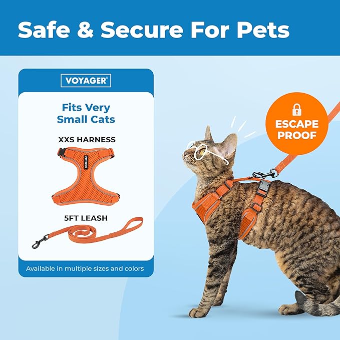 Voyager Escape Proof Cat Harness and Leash Set with Reflective Stitching, Neoprene Handle 5ft - Supports Small, Medium and Large Cats, Kittens for Walking by Best Pet Supplies - Orange, XXS