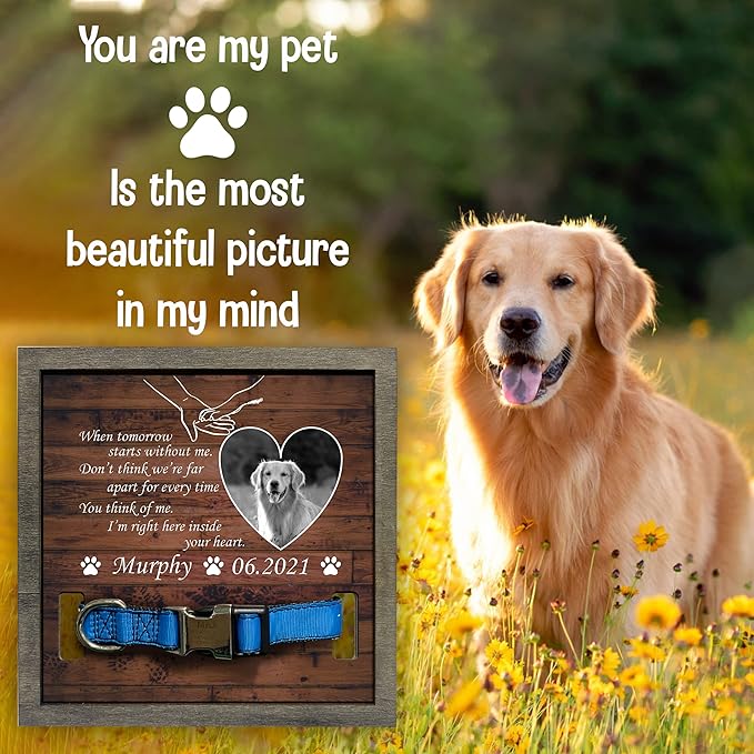 Customized Dog Collar Memorial Picture Frame Wooden Bereavement Gift Sympathy Home Wall Art Decoration Pet Loss Sign Personalized Memorial Cat Dog Frames Deceased Pet In Loving Memory Keepsake