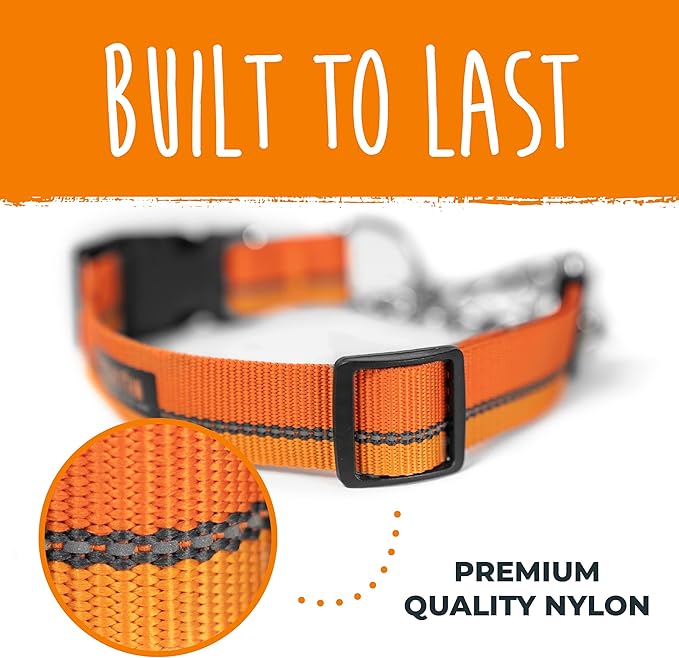 Mighty Paw Martingale Dog Collar 2.0 | Trainer Approved Limited Slip Collar with Stainless Steel Chain & Heavy Duty Buckle - Modified Cinch for Gentle & Effective Pet Training - Medium, Orange
