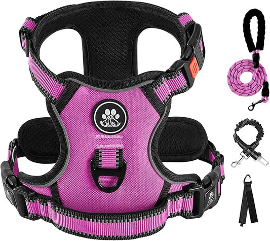 IVY&LANE No Pull Dog Harness for Small Dogs, Dog Vest Harness with Leash, Safety Belt and Storage Strap, Fully Adjustable Harness, 360° Reflective Strip, Soft Handle (Fuchsia Pink,S)