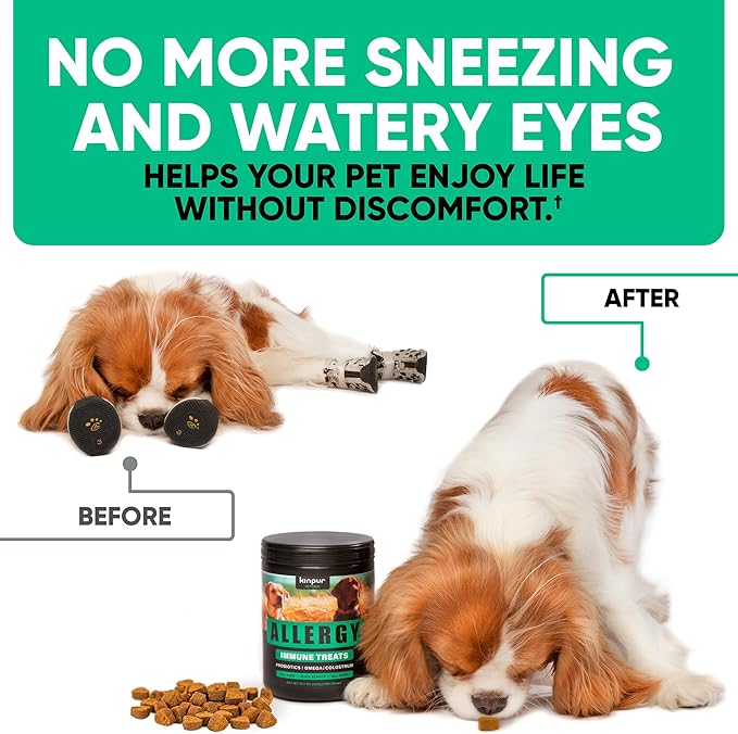 Natural Dog Allergy Chews for Dog Itch - Tasty Allergy Relief Pet Supplement for Dry Itchy Skin, Hot Spots, Seasonal Dog Allergies - 180 Anti Itch Immune Treats for Dogs Licking Paws, Antihistamine