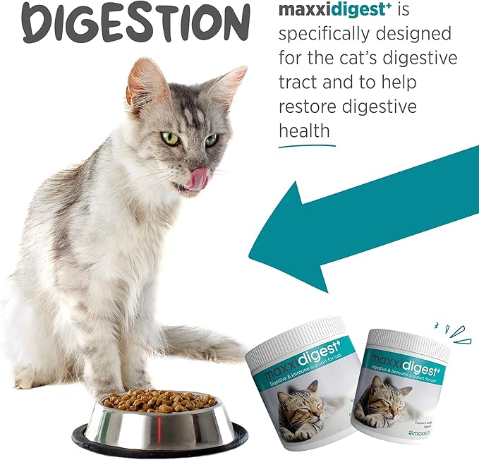 maxxipaws maxxidigest+ Prebiotic & Probiotic for Cats 7oz | Cat Probiotic Powder with Advanced Digestive Enzymes for Gut Health & Immunity | Supports Digestion, Food Sensitivities & Itchy Skin