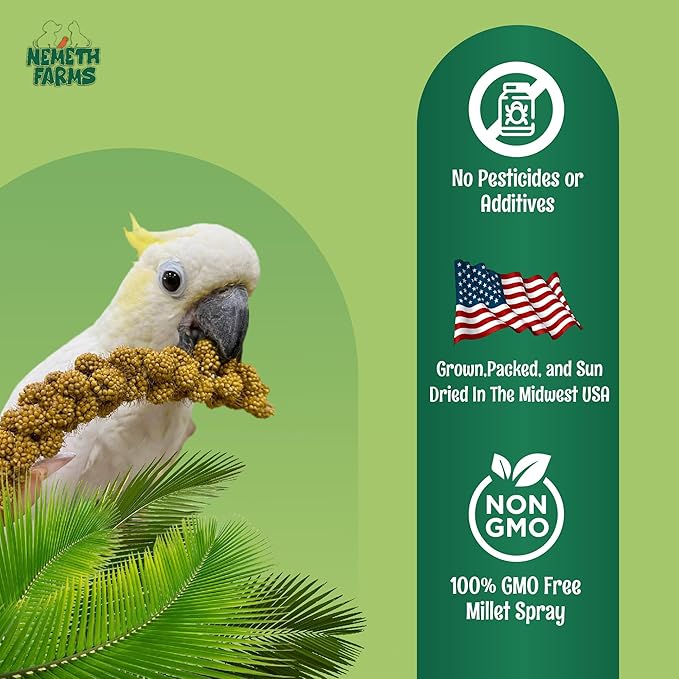 Nemeth Farms Premium Non-GMO Spray Millet Treat | Hand-Harvested Bird Snack | 100% Edible Tops | Sun-Dried Supplement for Parakeets, Cockatiels, Finches, Lovebirds, Canaries