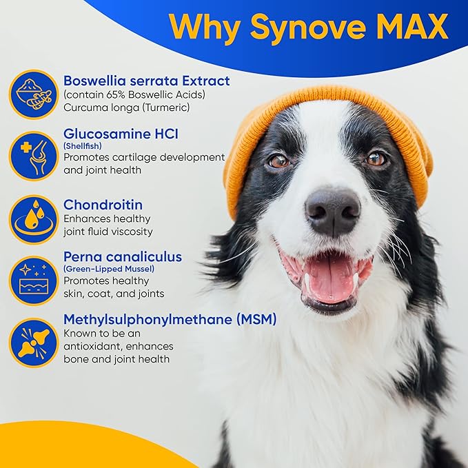 Synove Max Soft Chews for Dogs (240 Count) Beef Flavor, Joint Supplement, Glucosamine, Turmeric, Boswelllia serrata, Creatine Naturally Derived Ingredients better than synovi g4 soft chew