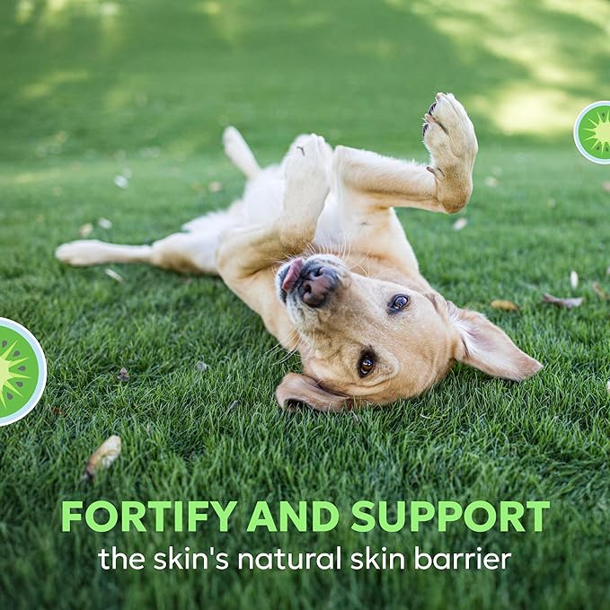 Nutramax Dermaquin Skin Support Supplement for Large Dogs, Supports Healthy Response to Allergens, with Hardy Kiwi, Omega-3s, and More, Tasty Soft Chews, 60 Count