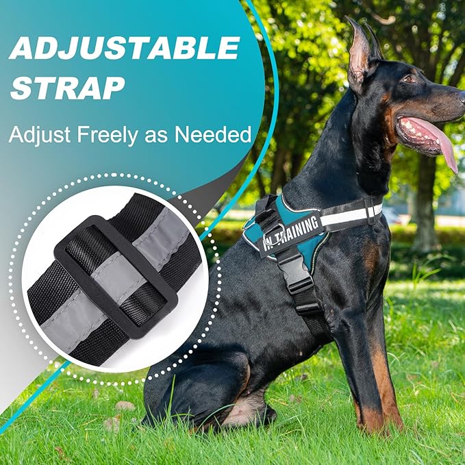 Essential Dog Harness with 3 Leash Clips - No-Pull, Adjustable, Comfortable Pet Vest Harness for Small to Large Dogs - Easy On, No Choke, Reflective, Padded Harness for Walking and Training