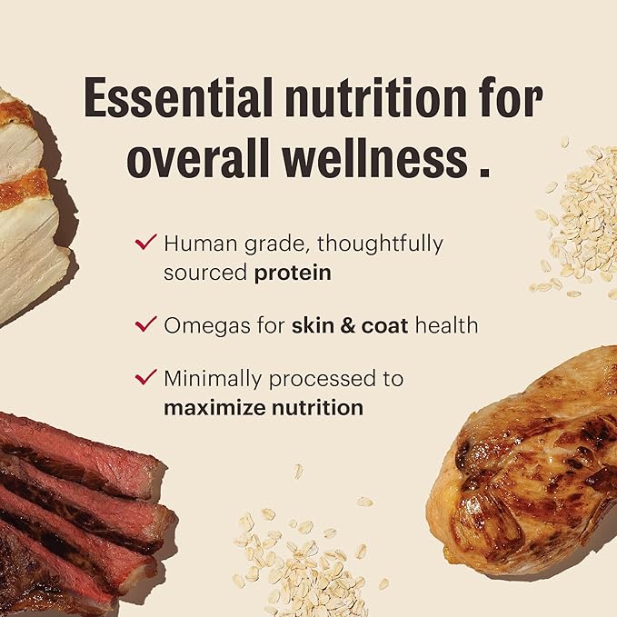 The Honest Kitchen Essential Clusters Dog Whole Grain Beef & Chicken 20 lb Bag