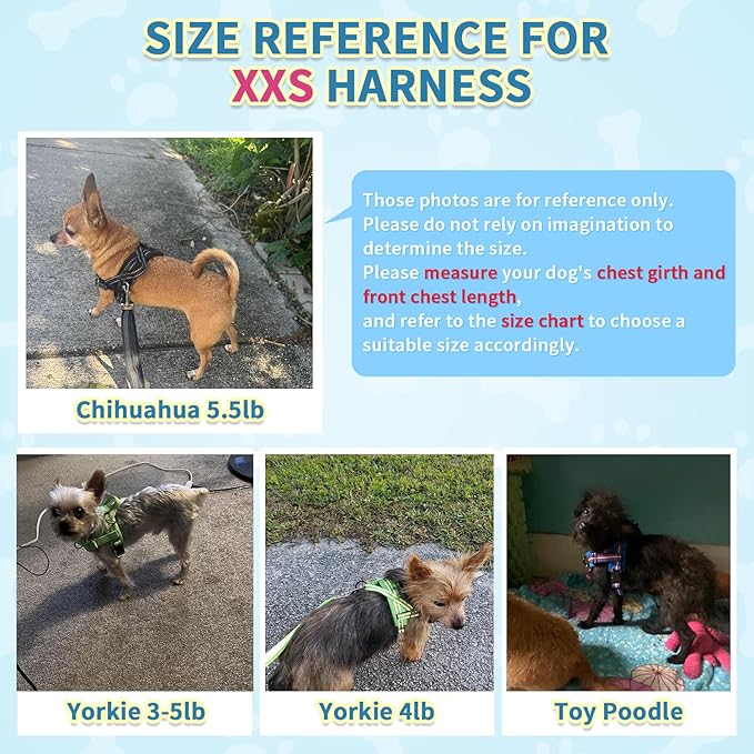 SlowTon No Pull Small Dog Harness and Leash Set, Puppy Soft Vest Harness Neck & Chest Adjustable, Reflective Lightweight Harness & Anti-Twist Pet Lead Combo for Small Medium Dogs (DB-Front Clip, XXS)