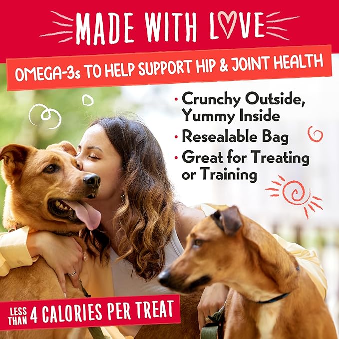 Charlee Bear Nuggets to Support Hip & Joint Health, Bearcuterie Bites with Omega 3s, Crunchy Outside and Creamy Inside, Real Apples, Cheese, & Honey, 6oz Bags (2), Made USA