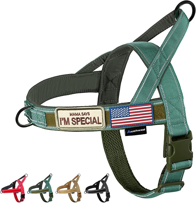 Annchwool No Pull Dog Harness with Soft Padded Handle,Reflective Strip Escape Proof and Quick Fit to Adjust Dog Harness,Easy for Training Walking for Small & Medium and Large Dogs(Green,M)