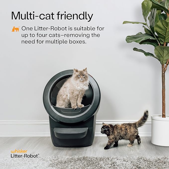 Litter-Robot 4 Supply & Accessory Bundle by Whisker, Black- Automatic Self-Cleaning Cat Litter Box, Includes Litter-Robot 4, Ramp, Mat, 3 OdorTrap Packs, 10 Liners, 30 Wipes, & 2 Carbon Filters