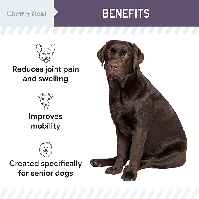 Mobility and Vitality Supplement for Senior Dogs - 120 Tablets for Senior Dog Wellness and Pain Reliever - Made with Glucosamine, MSM, Yucca, and More for Hip and Joint Support - Made in the USA
