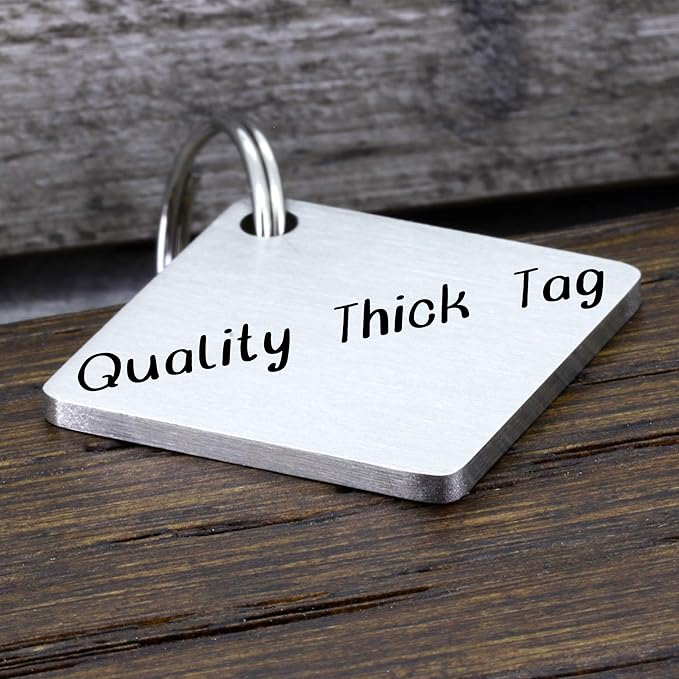 Ultra Joys Stainless Steel Pet ID Tag Dog Name Tags Personalized Front and Back Engraving, Customized Dog Tags and Cat Tags, Optional Engraved on Both Sides, Diamond Tag Mountain Silver Small