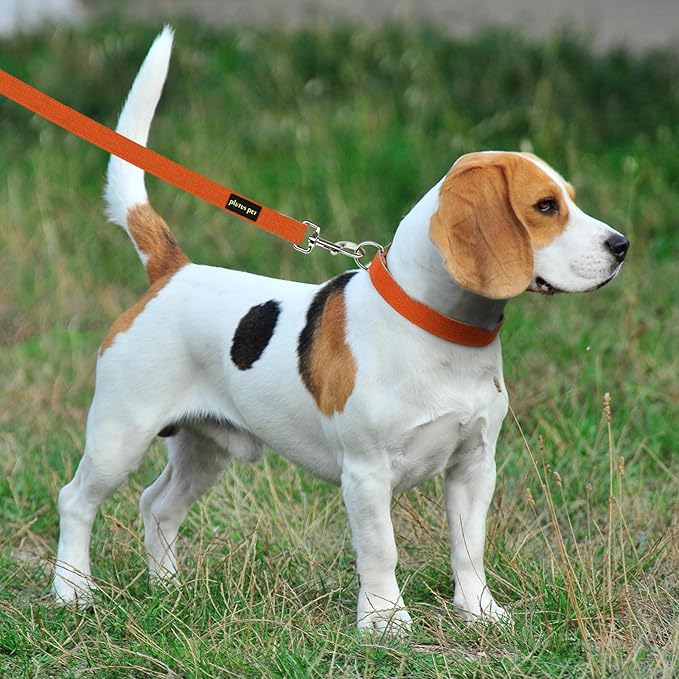 Plutus Pet Cotton Hemp Dog Collar and Leash Set, Adjustable Collar for Small, Medium, and Large Dogs, Heavy Duty and Soft on Skin, Orange, XL