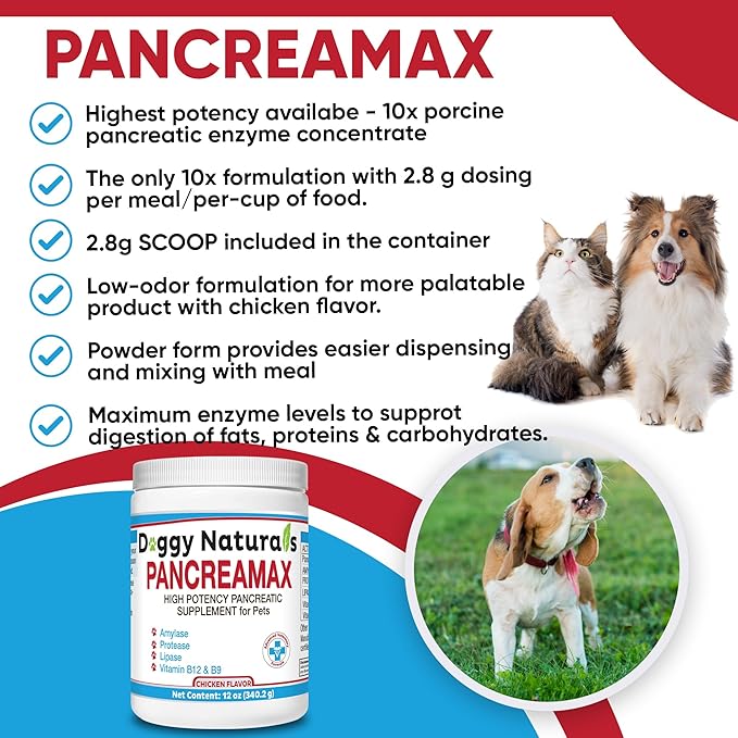 PancreaMax 10x Pancreatic Enzymes for Dogs and Cats (12 oz) Powder (Made in U.S.A). Pancreatin 10X for Dogs and Cats Contain Pancreatic Enzyme, High Strength, Low Odor.(10x Porcine Pancreatin)