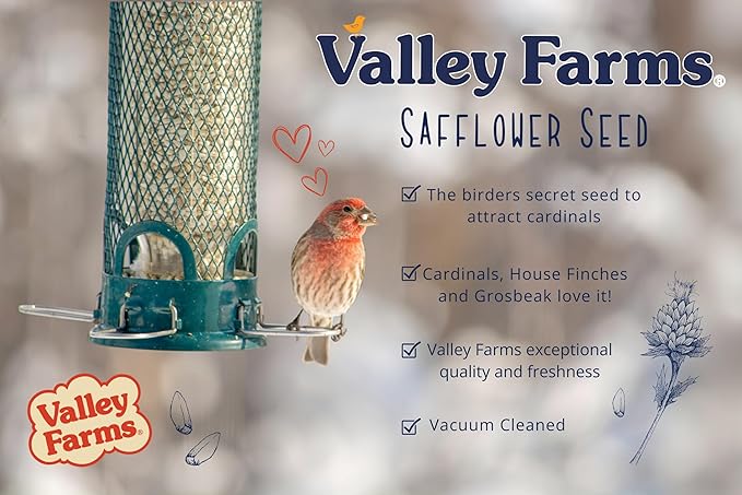 Valley Farms Safflower Seed Wild Bird Food 4 LB 2-Pack (8 LB Total) for Outside Feeders, Safflower Bird Seed for Cardinals, Grosbeaks, and Buntings, Cardinal Birdseed for Outside Feeders