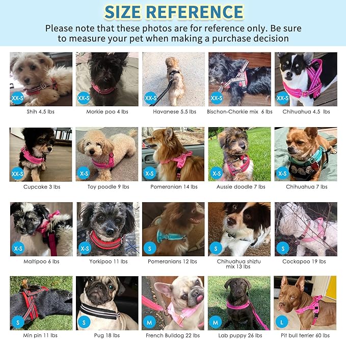 SlowTon No Pull Small Dog Harness and Leash Set, Puppy Soft Vest Harness Neck & Chest Adjustable, Reflective Lightweight Harness & Anti-Twist Pet Lead Combo for Small Medium Dogs (Green-Front Clip,XS)