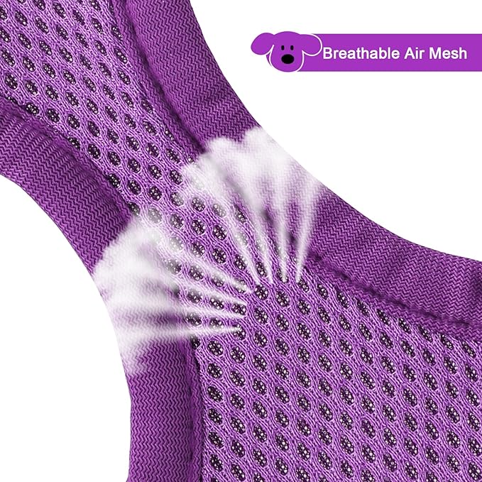 YIMEIS Dog Harness and Leash Set, No Pull Soft Mesh Pet Harness, Reflective Adjustable Puppy Vest for Small Medium Large Dogs, Cats (Purple, Small (Pack of 1)