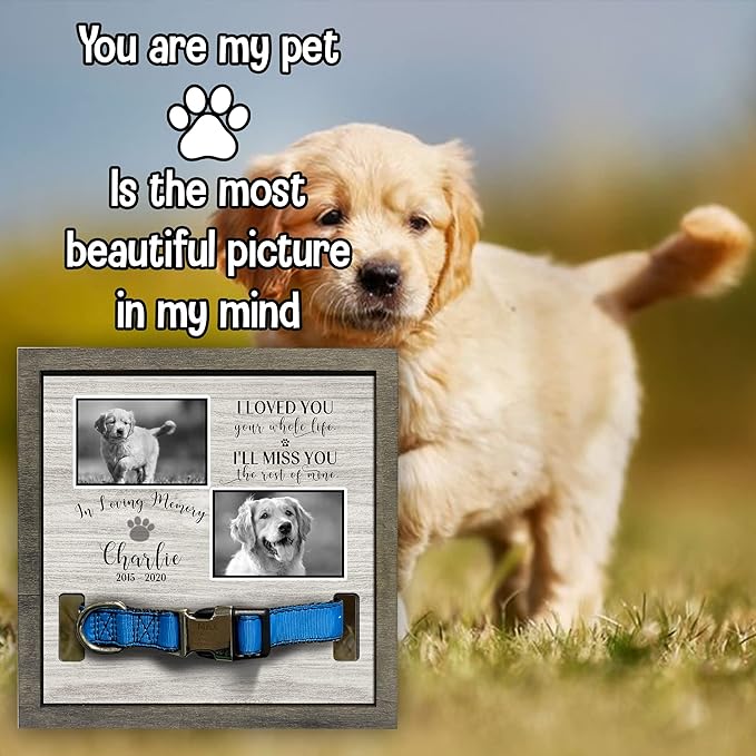 Personalized Dog Memorial Picture Frame Remembrance Gifts for Loss of Loved Pet Collar Plaque In Loving Memory of Dog and Cat Sympathy Gifts Pawprints Pet Decorations Hanging Wall Art