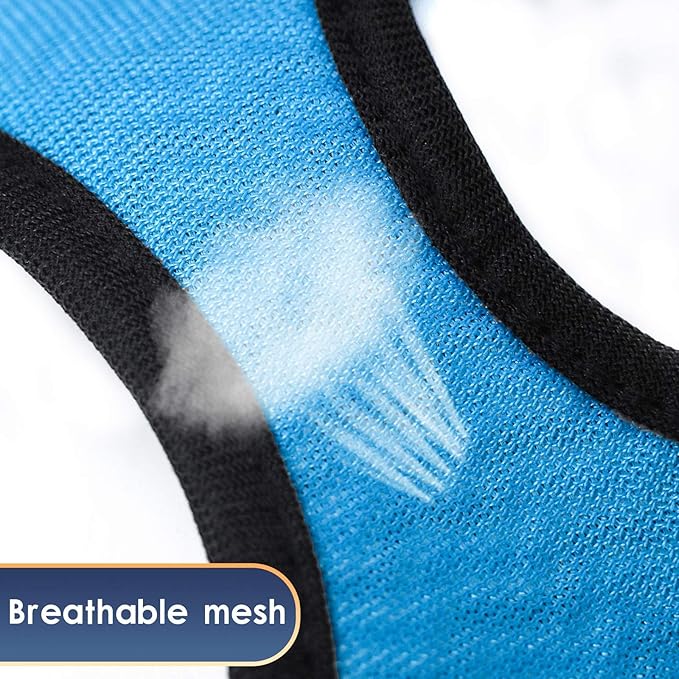 YIMEIS Dog Harness and Leash Set, No Pull Soft Mesh Pet Harness, Reflective Adjustable Puppy Vest for Small Dogs, Cats (S, Blue)