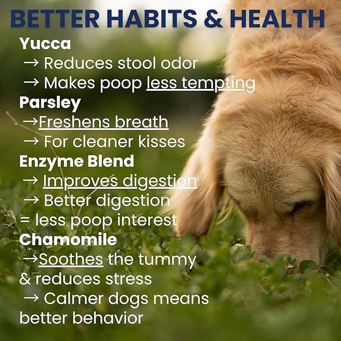 Under the Weather Pet No Poo Chews for Dogs | Vet Formulated Poop Eating Deterrent for Dogs | Canine Daily Chews to Help Stop Eating Poop | Coprophagia Support Supplement for Pups | 60 Count
