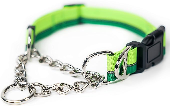 Mighty Paw Martingale Dog Collar 2.0 | Trainer Approved Limited Slip Collar with Stainless Steel Chain & Heavy Duty Buckle - Modified Cinch for Gentle & Effective Pet Training - S/M, Green
