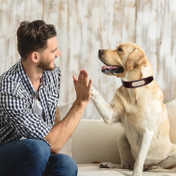 Didog Genuine Leather Dog Collars with Engraved Nameplate, Personalized Soft Leather Dog Collar with Custom ID Tag, Brown/Green/Red for Small Dogs (S,Brown)