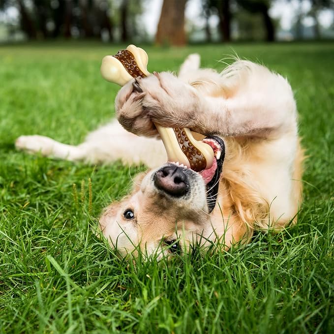 Sosation Bones Shaped Dog Toys for Aggressive Chewers, 2 Pack Dog Chew Toys Puppy Teething Nylon Beef Flavor for Large/Medium/Small Puppies Breeds(Curved Bone,Medium)