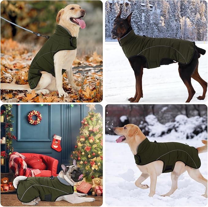 HEYWEAN Dog Winter Coat - Waterproof Windproof Reflective Vest for Medium & Large Breeds Adjustable Warm FleeceLined Jacket with Magic Tape & D-Ring for Leash Cold Weather Apparel (Green, Large)