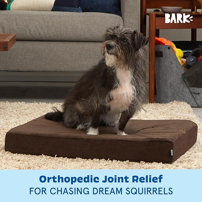 Barkbox Orthopedic Dog Bed with Memory Foam, Premium Comfort for Dogs and Puppies, Dog Bed for Joint Relief and Restful Sleep, Durable and Easy to Clean - Espresso, Medium