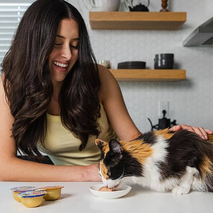 INABA Churu Pop'N Serve Jelly Cat Treat with Vitamin E & Taurine, 1.2 Ounce Cup, 10 Cups, Chicken Variety