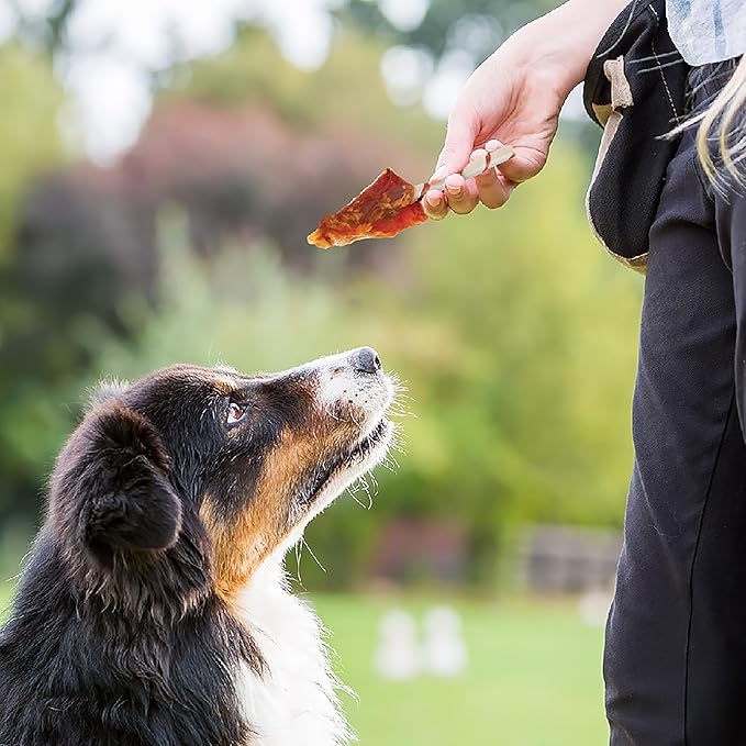 Good 'n' Fun Triple Flavor Wings, 24 Ounces, Rawhide Snack for All Dogs Made with Real Chicken, Pork Hide and Beef Hide