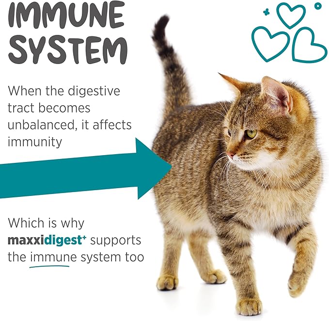 maxxipaws maxxidigest+ Prebiotic & Probiotic for Cats 7oz | Cat Probiotic Powder with Advanced Digestive Enzymes for Gut Health & Immunity | Supports Digestion, Food Sensitivities & Itchy Skin