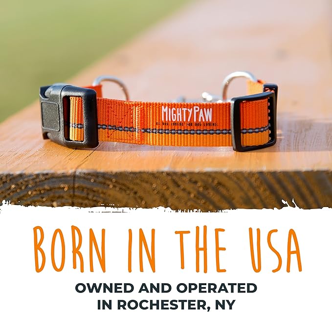 Mighty Paw Martingale Dog Collar 2.0 | Trainer Approved Limited Slip Collar with Stainless Steel Chain & Heavy Duty Buckle - Modified Cinch for Gentle & Effective Pet Training - Medium, Orange