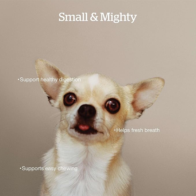 Now Fresh Grain-Free Small Breed Dry Dog Food with Turkey, Salmon & Duck, Healthy Kibble for Adults Made with Real Meat & Fish, Chicken-Free Recipe, Pumpkin & Probiotics for Good Digestion, 12 lb Bag