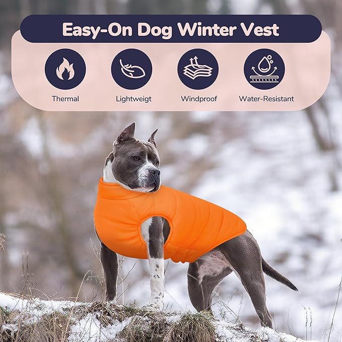 PUMYPOREITY Dog Puffer Coat with Detachable Scarf, Warm Padded Cold Weather Vest, Windproof Lightweight Snowsuit, Water Resistant Dog Winter Coats, Thermal Winter Jacket for Small Medium Large Dogs