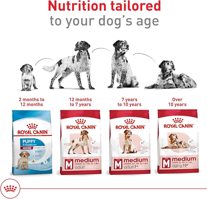 Royal Canin Size Health Nutrition Medium Adult Dry Dog Food, 4 lb Bag