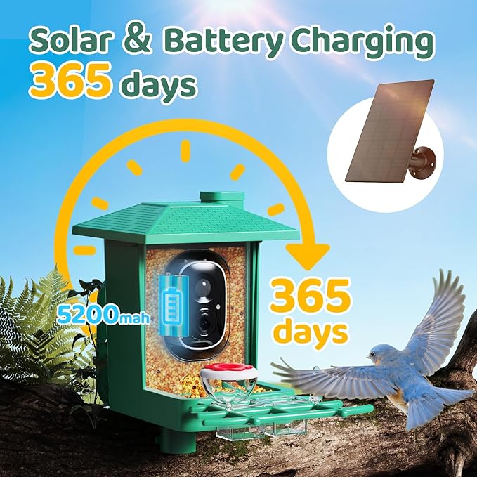 Bird Feeder with Camera Outdoor Solar: Smart Birdfeeder with AI Recognition - 2K HD Live Stream Video Camera for Outside Wild Birds Garden Decor - Bird Lover Gifts