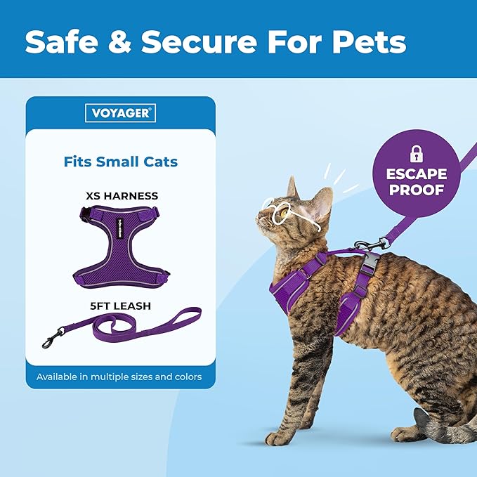 Voyager Escape Proof Cat Harness and Leash Set with Reflective Stitching, Neoprene Handle 5ft - Supports Small, Medium and Large Cats, Kittens for Walking by Best Pet Supplies - Purple, XS
