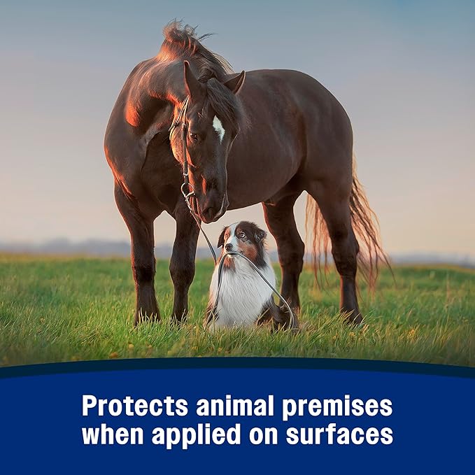 Farnam Repel-X Insecticide & Repellent Water-based Fly Spray for Horses, Dogs and Premises, 32 Ounces